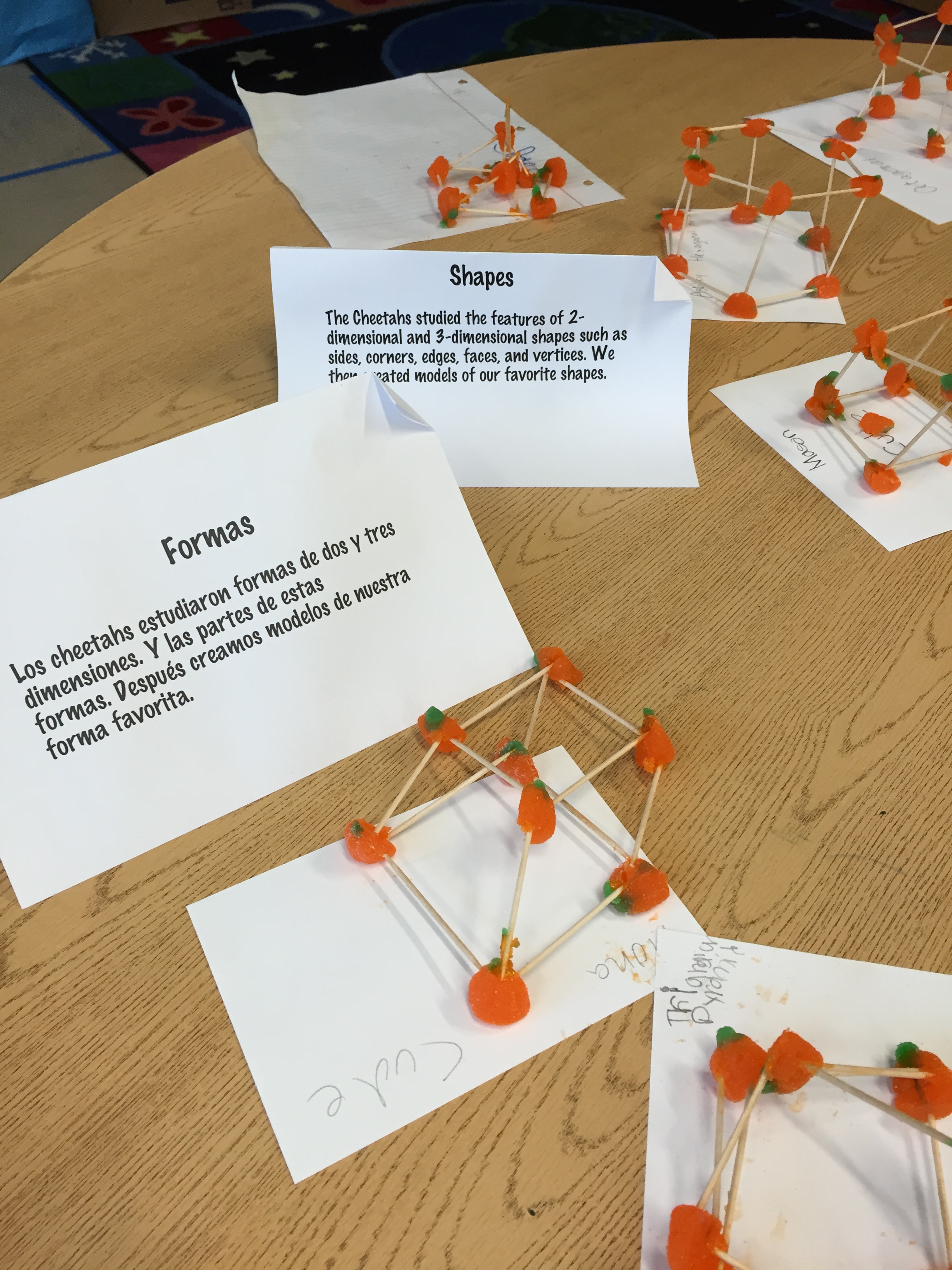 Partner Feature – Toyota USA Foundation