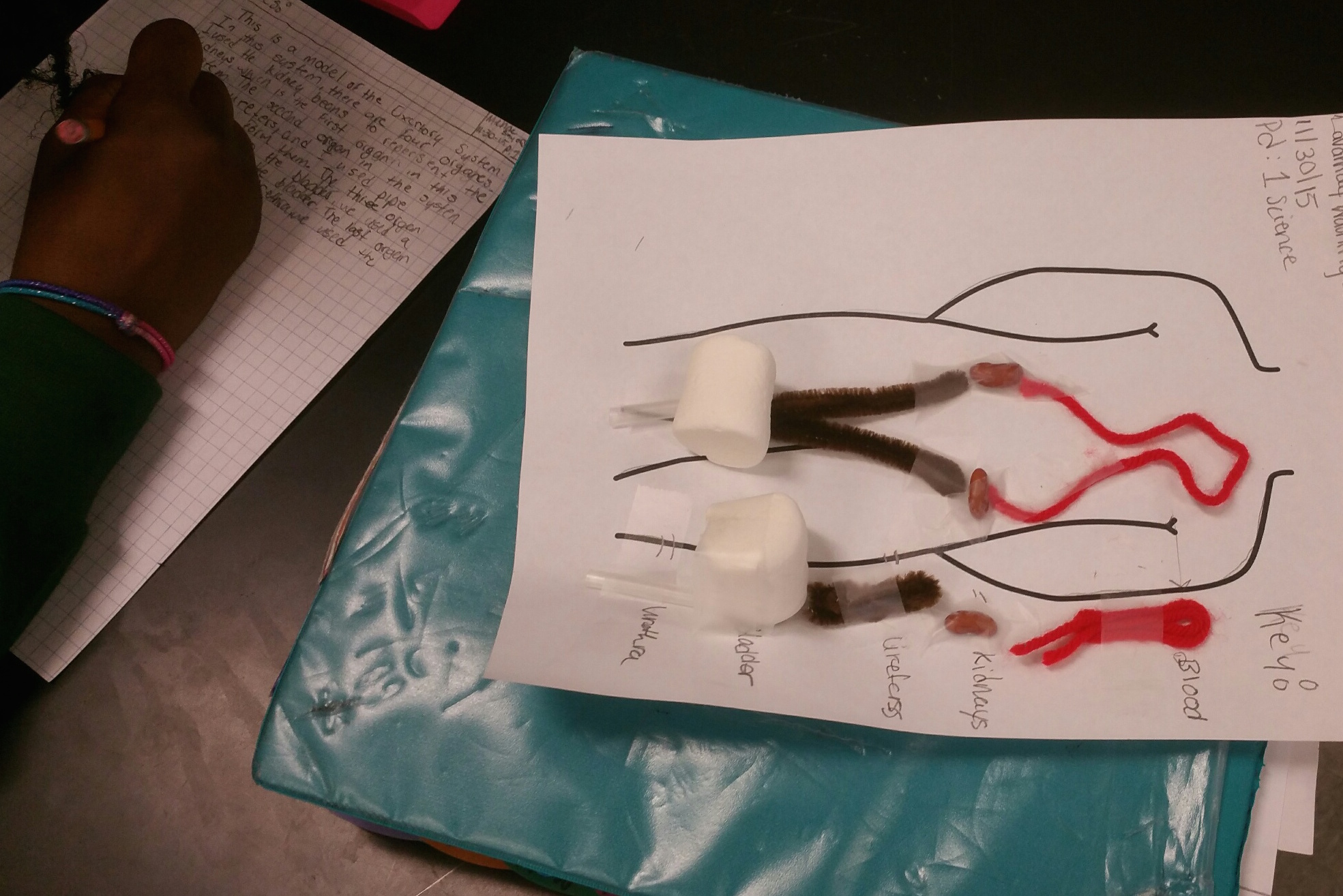 Teaching Doctors at Hart